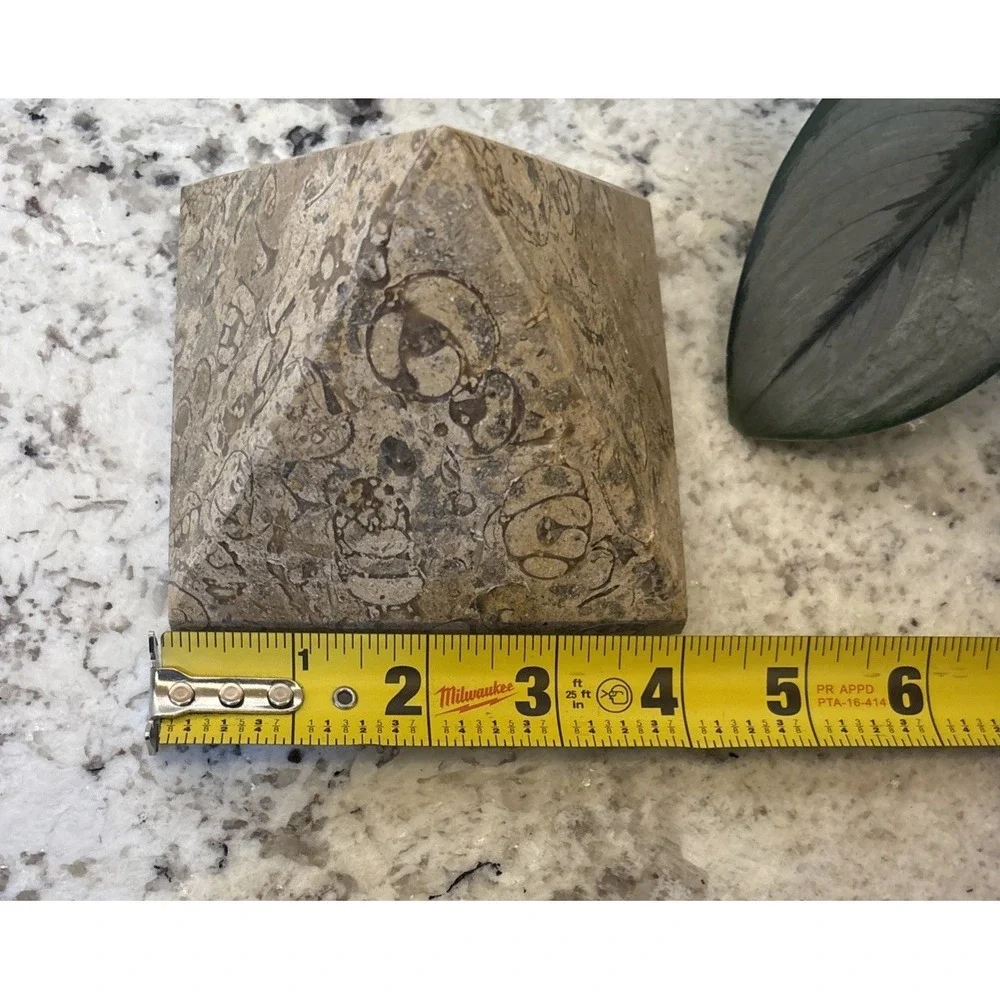 Pier One Fossil Stone Paperweight Pyramid Chakra Feng Shui Architectural Office